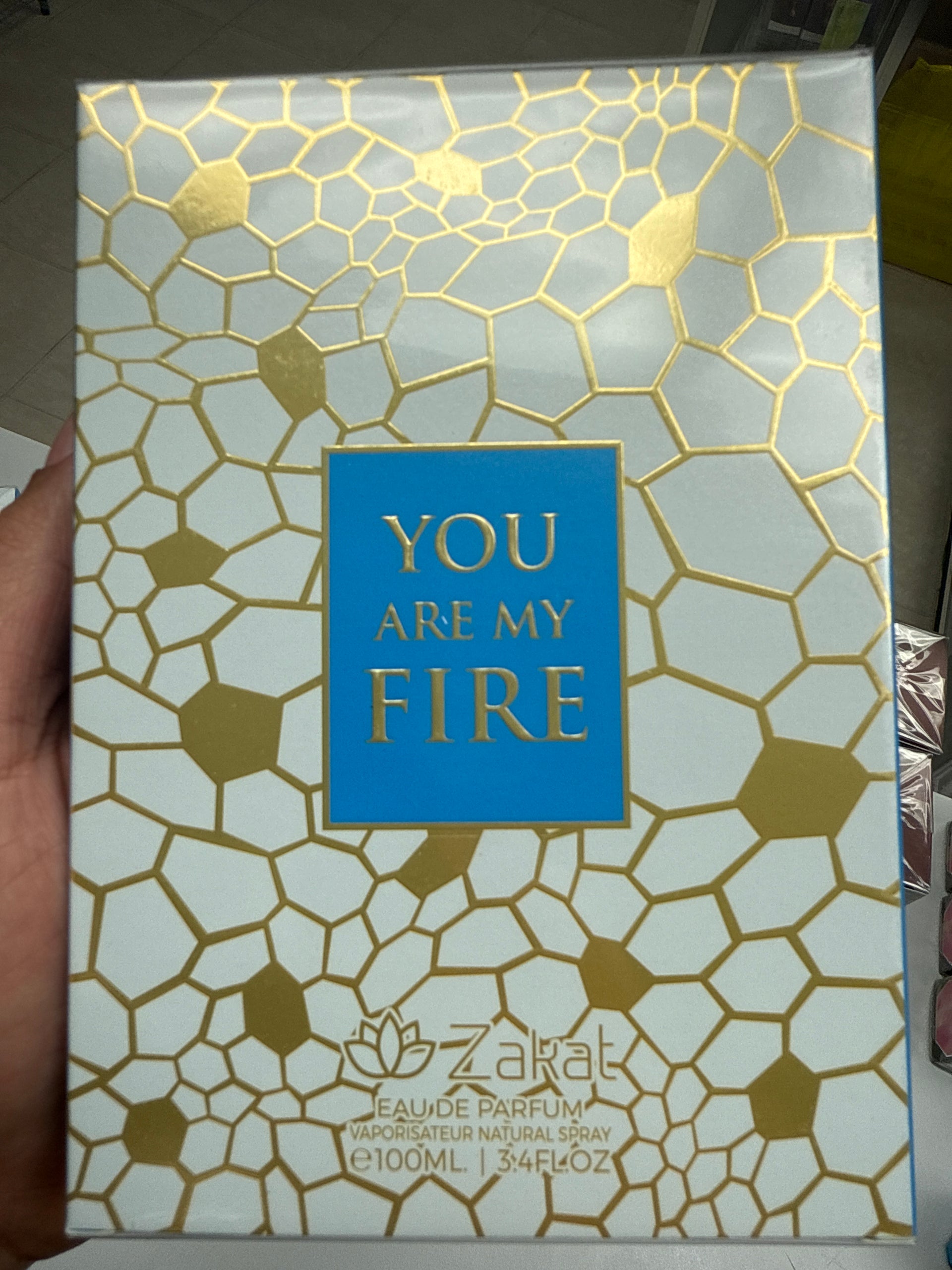 YOU ARE MY FIRE