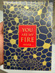 YOU ARE MY FIRE ROUGE
